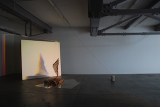 Petra Köhle/Nicolas Vermot, Ausstellung im Vebikus 2011
