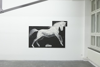 Simon Hauser: Un cheval deux chevaux, 2010