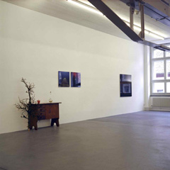 Ausstellung «Lange Tage leuchtend Sommerkraut», 2007