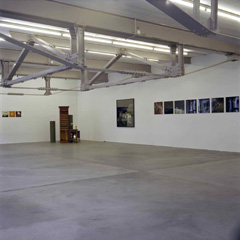 Ausstellung «Lange Tage leuchtend Sommerkraut», 2007